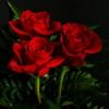 redroses25